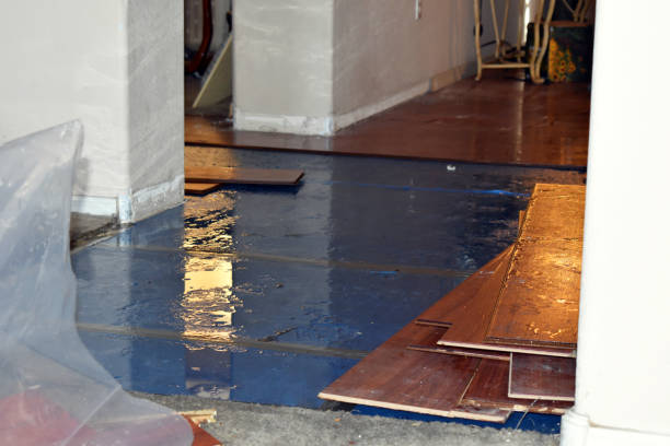 Professional Basement Flood Cleanup technician working in Mount Angel, OR